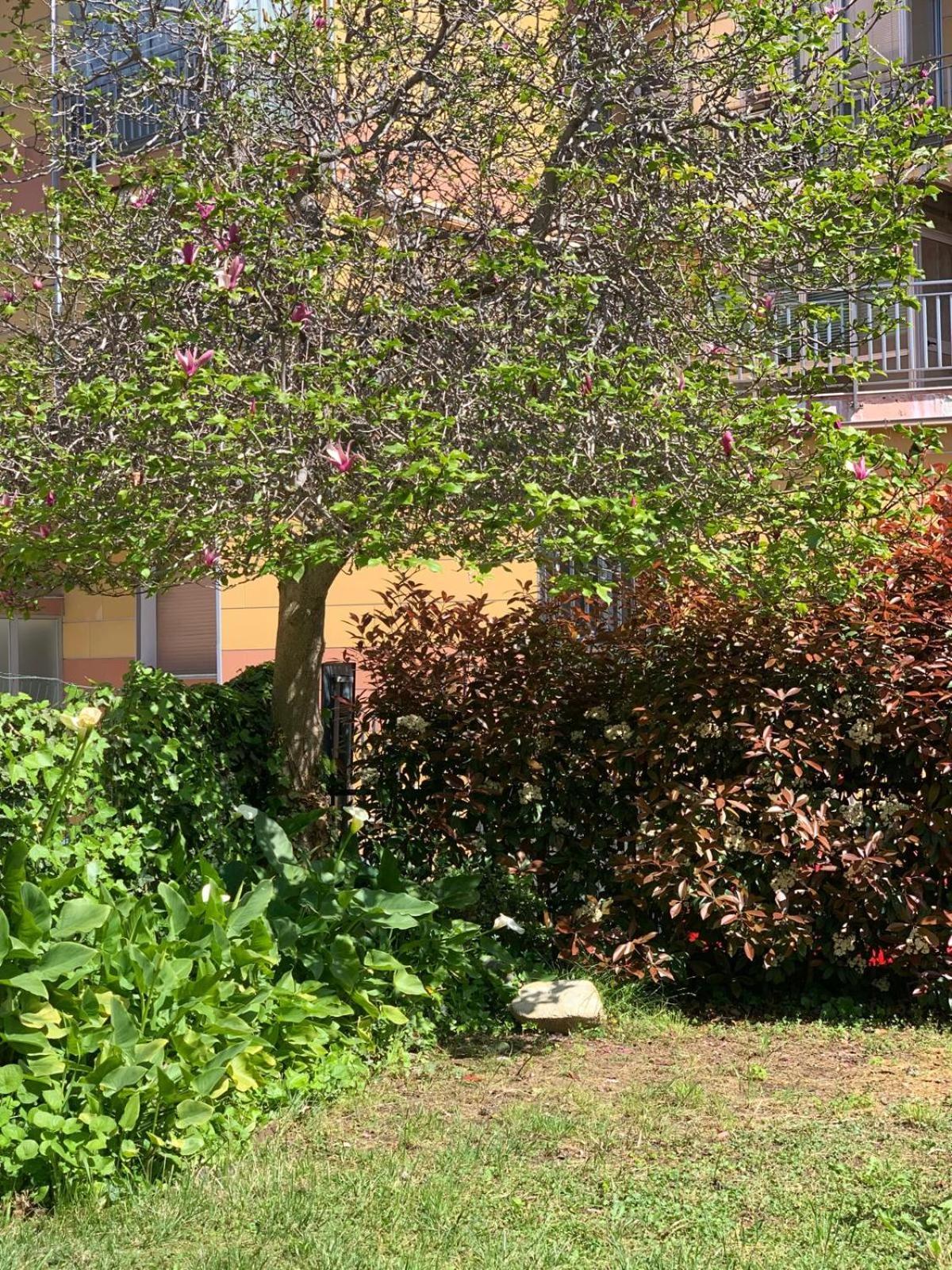 B&B La Magnolia Savona Exterior foto